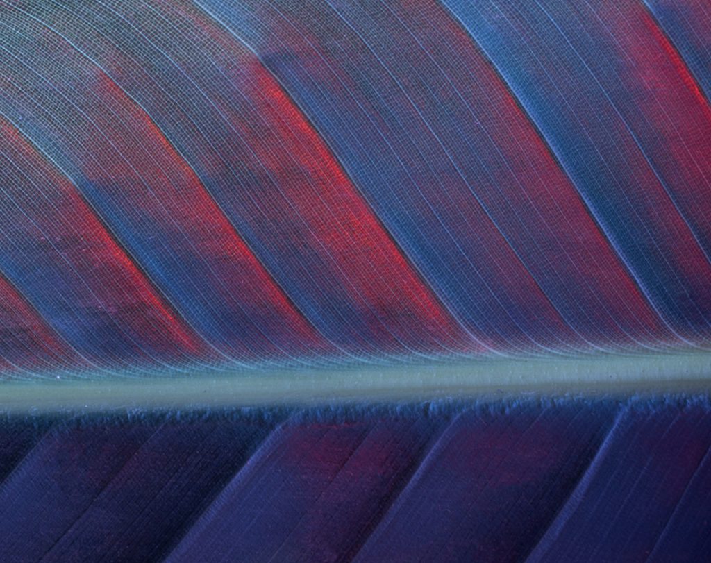 Intelligenza artificiale per startup