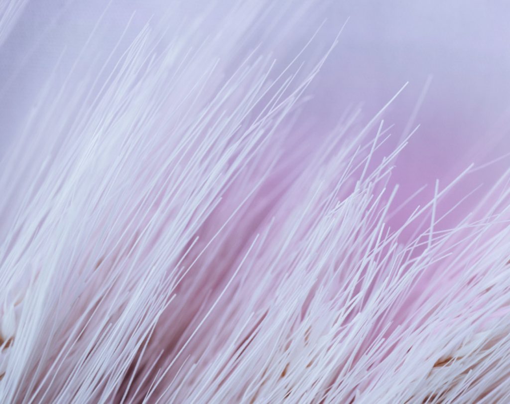 migliori consulenti ai milano