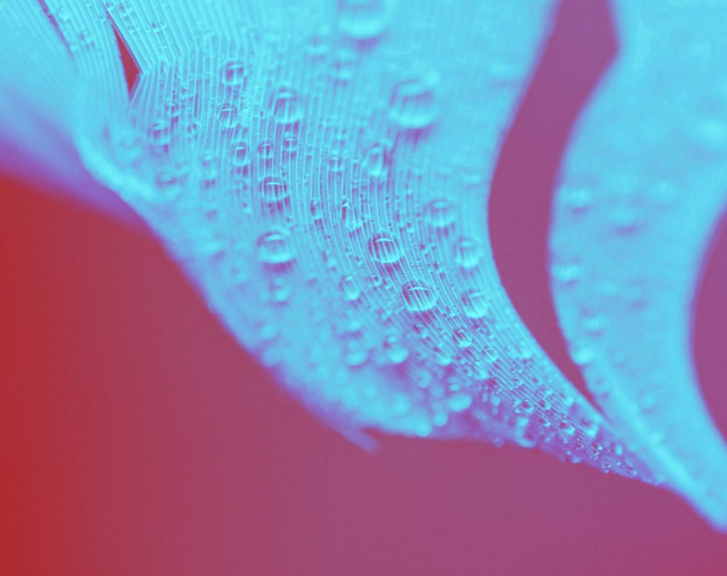 AI-enhanced presentations