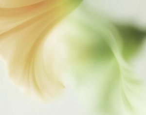 realizzazione sito web