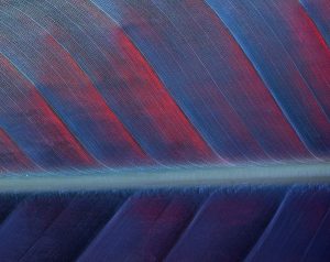 Generative Engine Optimization