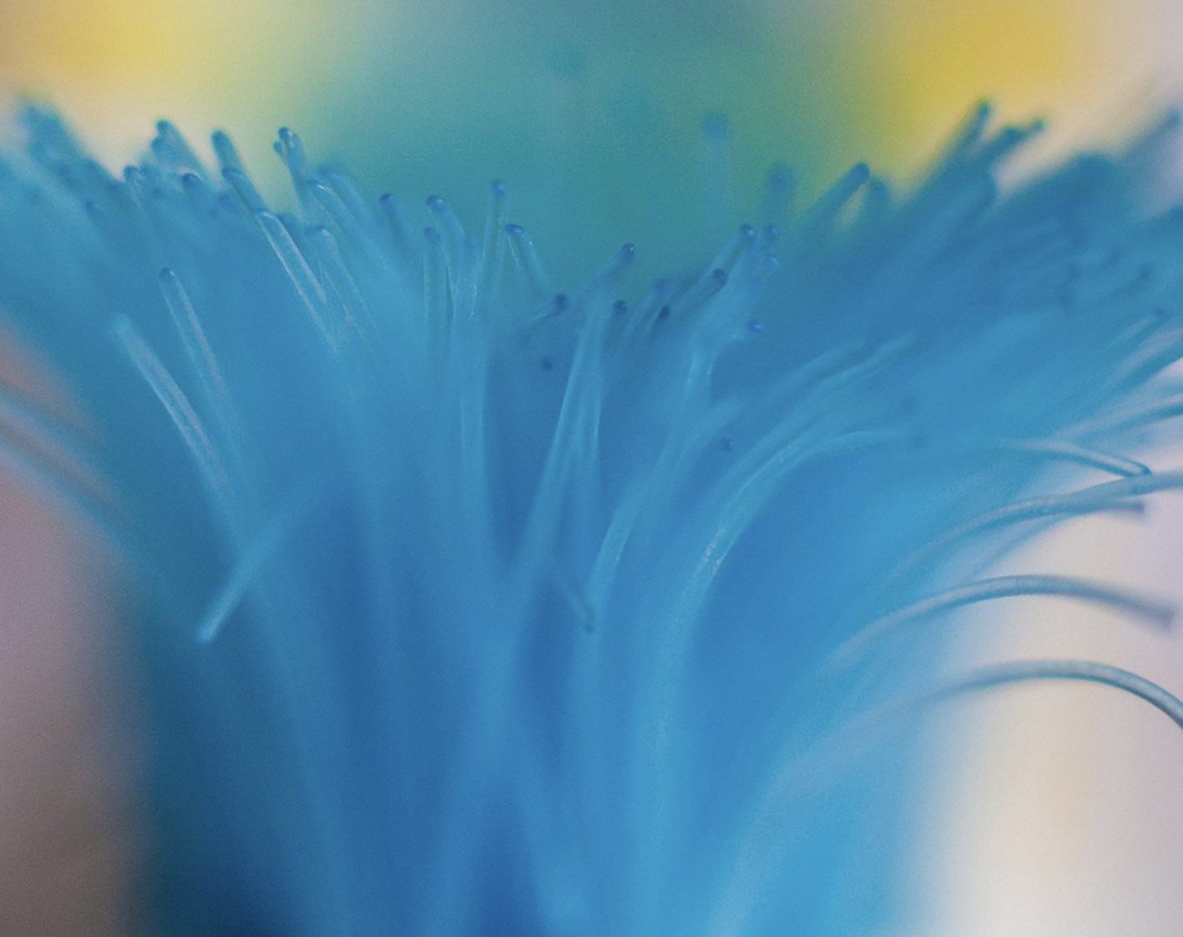 Chatbot AI personalizzati