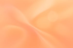 pastel coral and peach only, warm sunset hue, NO lilac NO blue NO green